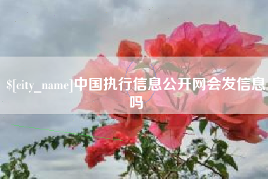 太原中国执行信息公开网会发信息吗