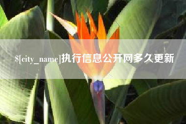 太原执行信息公开网多久更新
