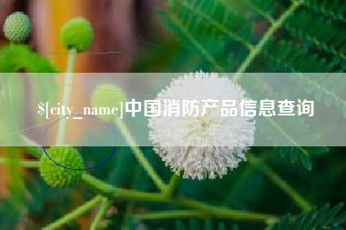 太原中国消防产品信息查询