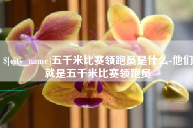 太原五千米比赛领跑员是什么-他们就是五千米比赛领跑员