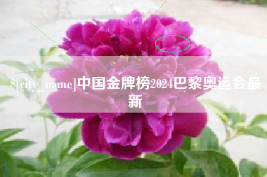 太原中国金牌榜2024巴黎奥运会最新