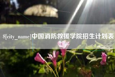 太原中国消防救援学院招生计划表