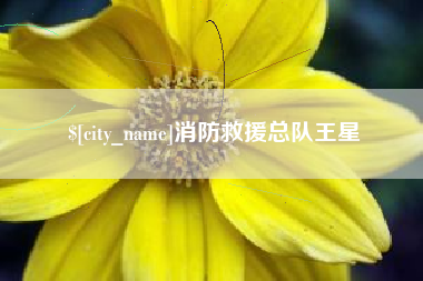 太原消防救援总队王星