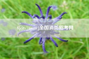 太原全国消防招考网