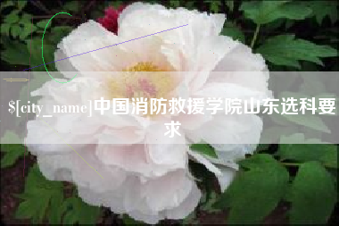 太原中国消防救援学院山东选科要求