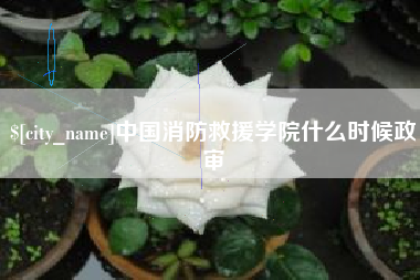 太原中国消防救援学院什么时候政审