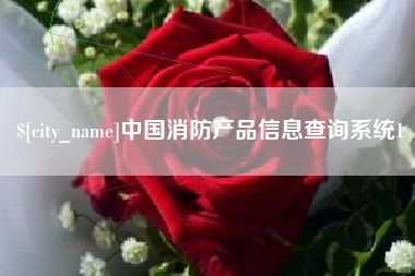 太原中国消防产品信息查询系统1