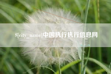 太原中国执行执行信息网