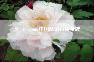 太原中国队第八块金牌