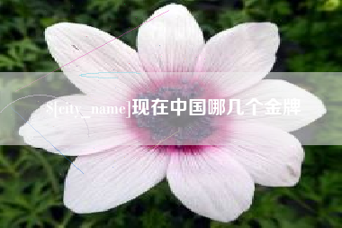 太原现在中国哪几个金牌
