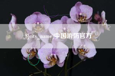 太原中国消防官方