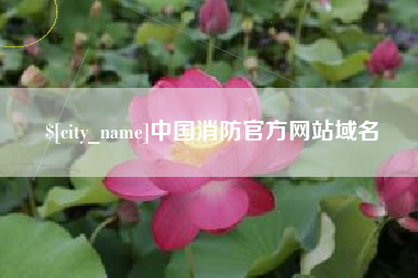 太原中国消防官方网站域名