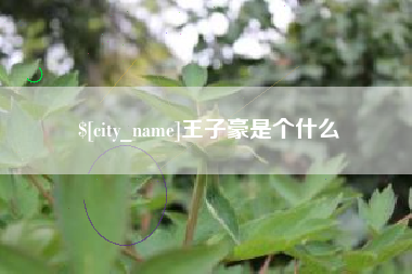 太原王子豪是个什么