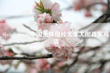 太原中国金牌图片大全大图真实高清