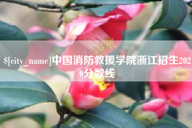 太原中国消防救援学院浙江招生2020分数线
