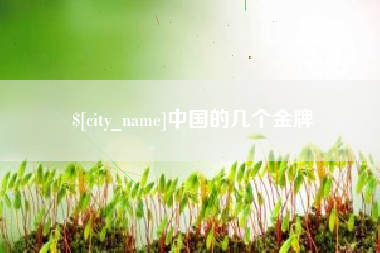 太原中国的几个金牌
