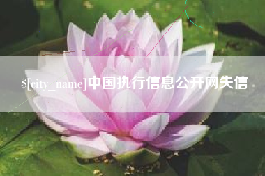 太原中国执行信息公开网失信