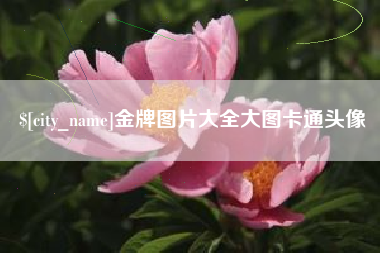 太原金牌图片大全大图卡通头像