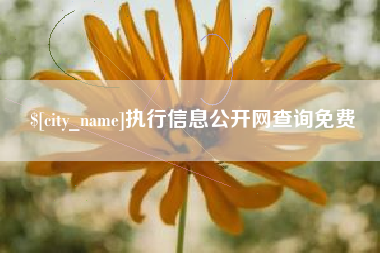 太原执行信息公开网查询免费