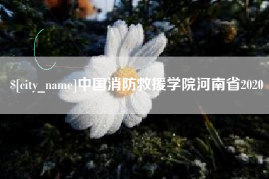 太原中国消防救援学院河南省2020