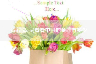 太原看看中国的金牌有多少